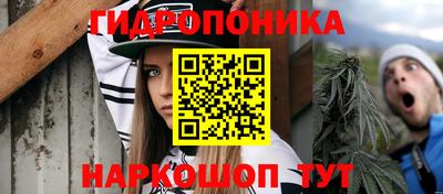эйфоретик Гусь-Хрустальный