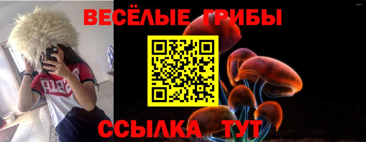 Менделеевск  Гашиш  КОКАИН  A-PVP СК   ГАШИШ  Вход с VPN  Меф МЯУ МЯУ кристаллы 